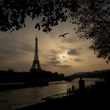 Pariisi, Auringonlasku, Lintu, Seine, Pilvet