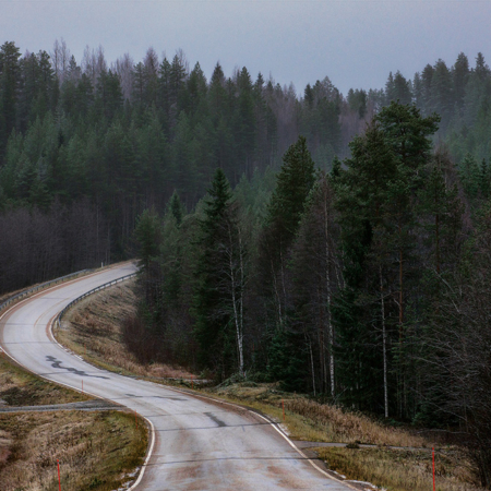 Kainuu, Metsä, Tie, Reunalla, Projekti, Like,